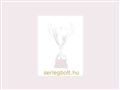 http://www.serlegbolt.hu ismertető oldala